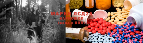 шишки Киров