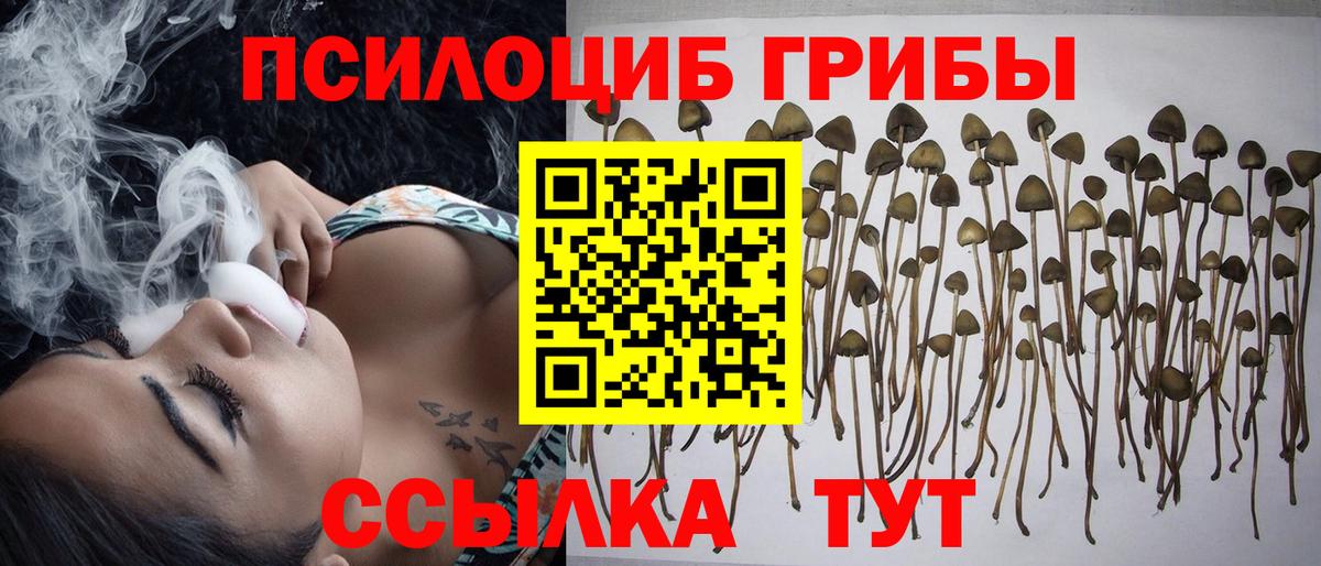 Галлюциногенные грибы мухоморы Биробиджан