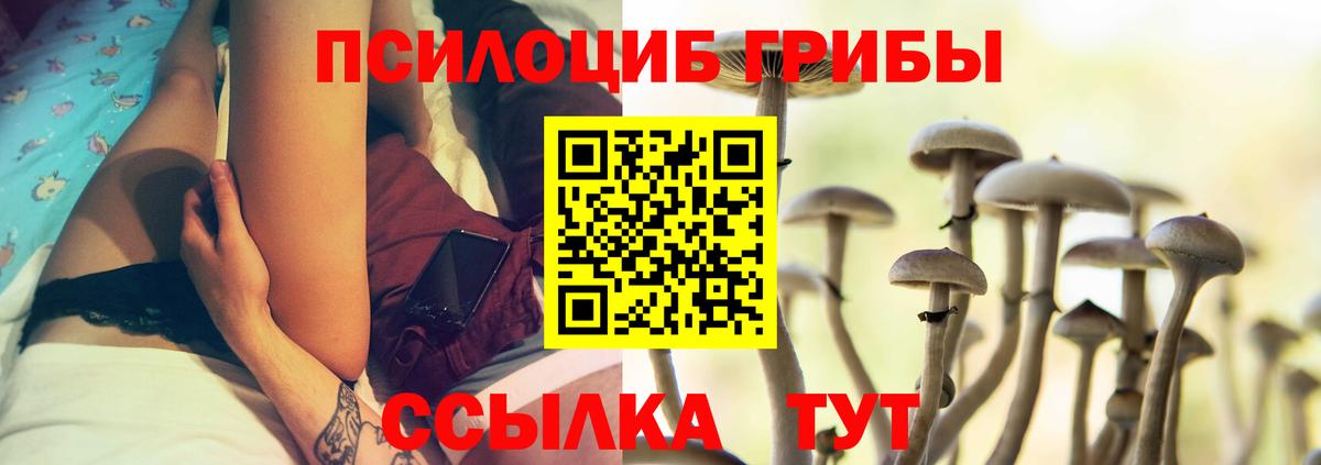 Галлюциногенные грибы Psilocybine cubensis  Псилоцибиновые грибы Cubensis  Биробиджан  Вход с VPN 